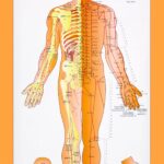 7FZQKNT0jMUZLsH1Q4XC6OvE101mhkzCM_abK2z_V6JMtLH9e0LBbFlx4T3cXYdxIPieNSQjgIUJTF6VxRtxCT2_qoG8vslTKhiNho9UHOm55WSaV2bBujTzpdTQC_6ZEzAl2k7LAh_FeCTLIPB5huiI0OaFMvl9r_tjhNxGfLXVEjAcEOL3tYrZr5b6s4NL