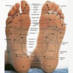 reflexology_opt